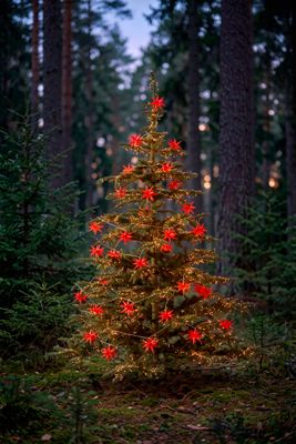 Terrain Artificial Pre-Lit Woodland Fir, 7.5’
