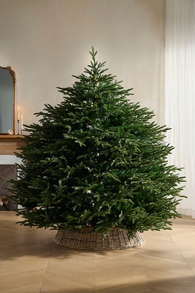 Artificial Nostalgic Pine 7' #2