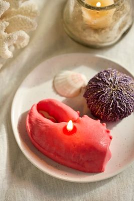 Lobster Claw Candle