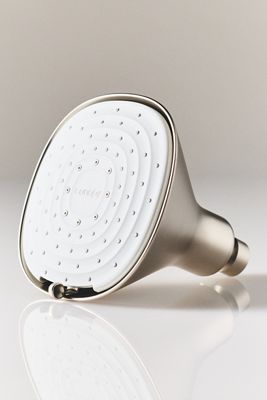 Canopy Filtered Showerhead