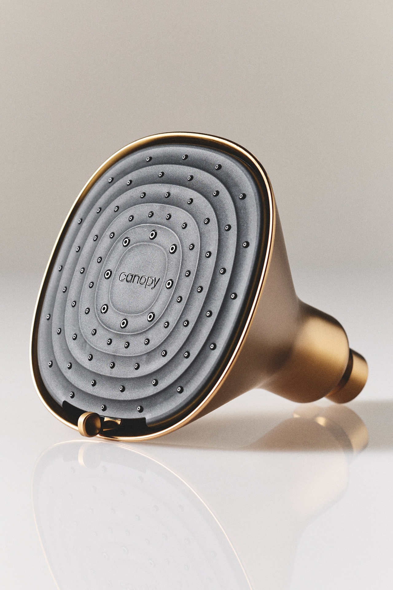 Canopy Filtered Showerhead