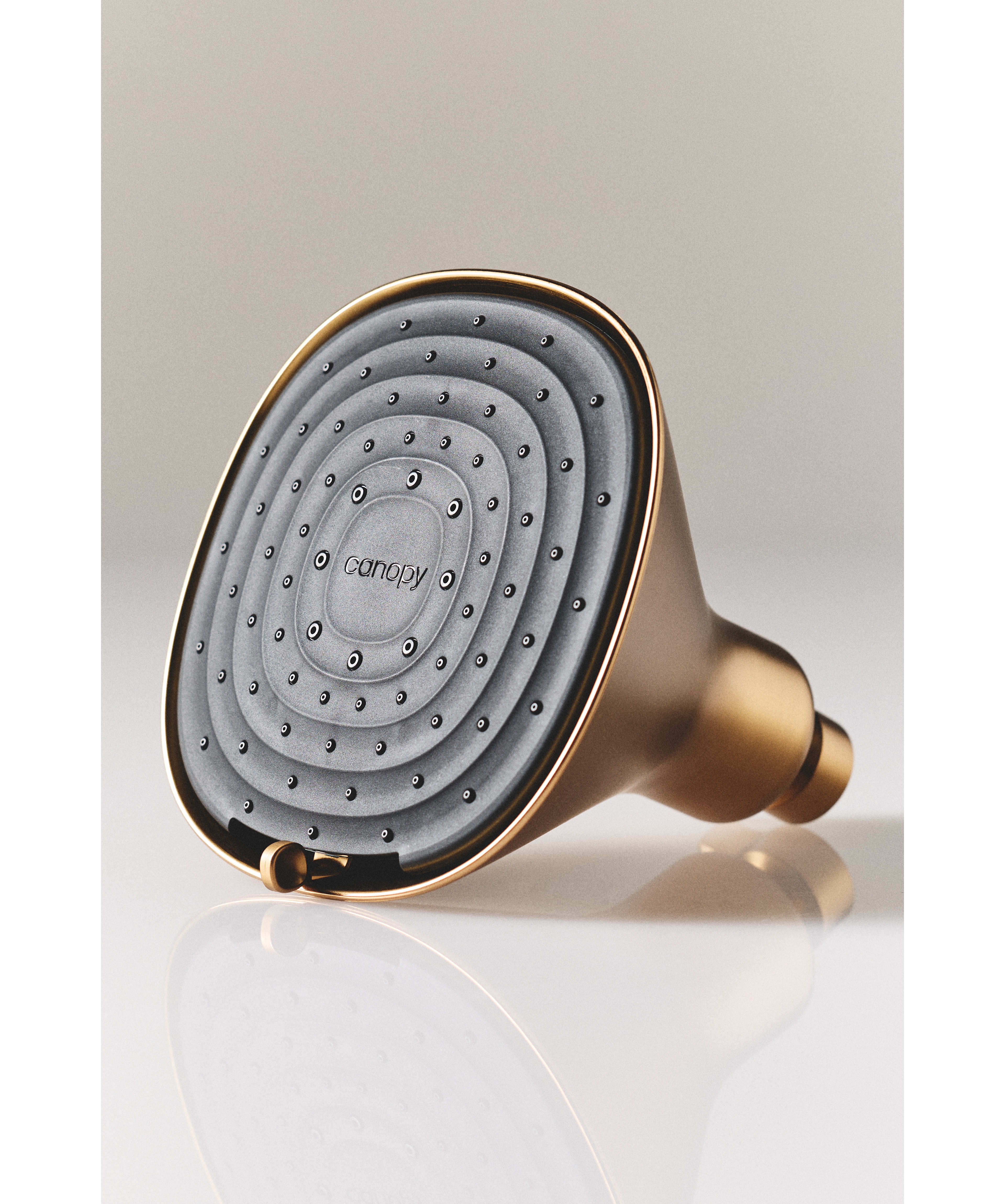 Canopy Filtered Showerhead
