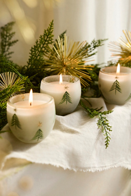 Terrain Festive Balsam Cedarwood Glass Candles, Set Of 6 In White