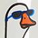 Silly Goose Summer