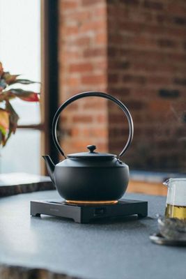 BALMUDA The Moonkettle