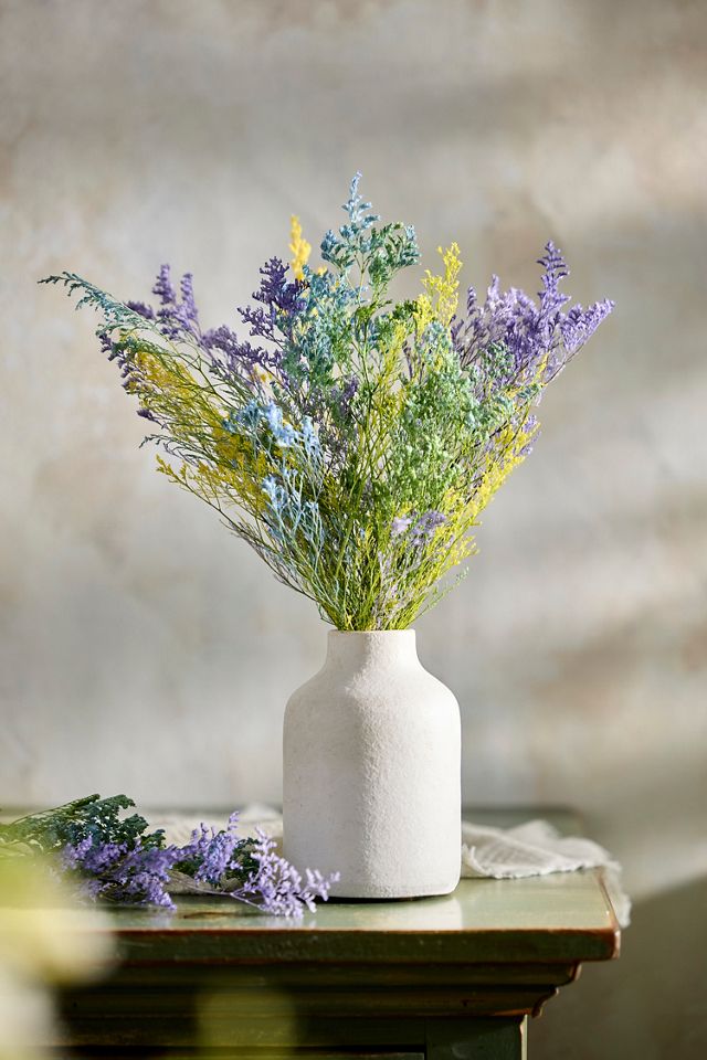 Preserved Caspia Bunch #3