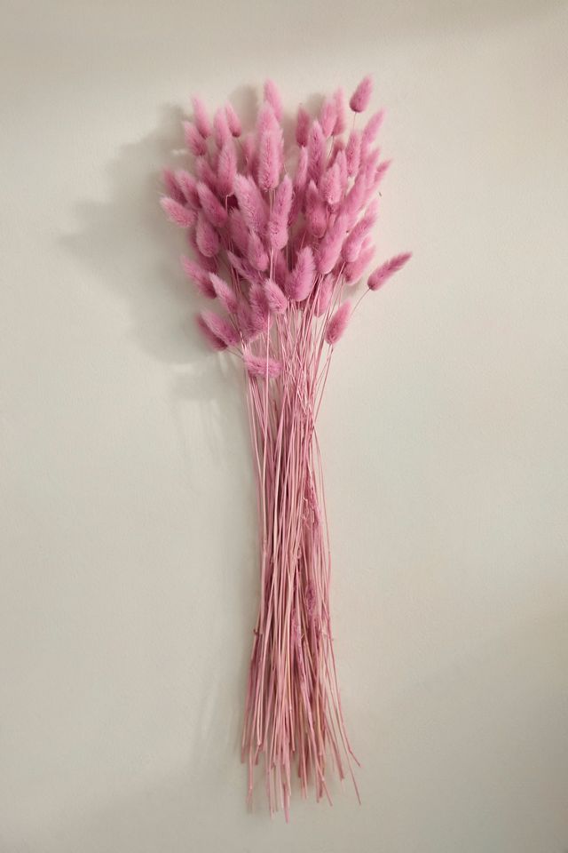 Preserved Pink Bunny Tails Bunch #2