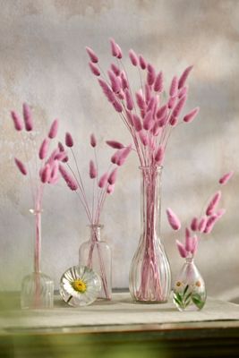 Preserved Pink Bunny Tails Bunch