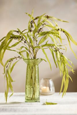 Preserved Eucalyptus Exotica Bunch