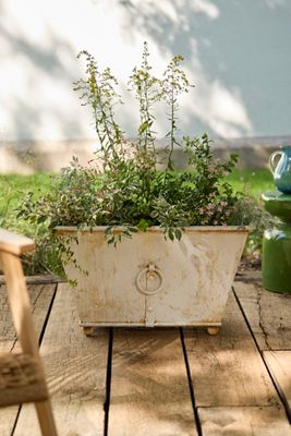Terrain Antique Ivory Cast Iron Trough Planter, Large