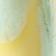 Chartreuse