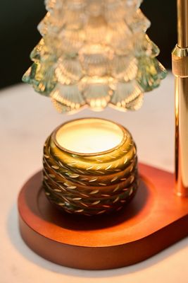 Gather Candle by Anthropologie: Woody Fresh Balsam & Cedarwood