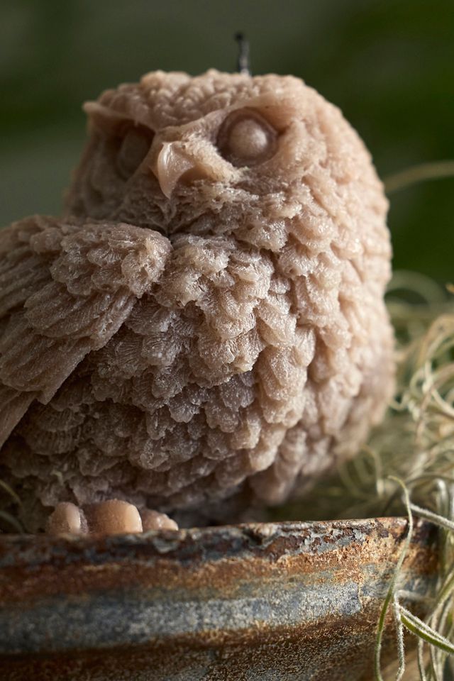 Brown Owl Candle #1