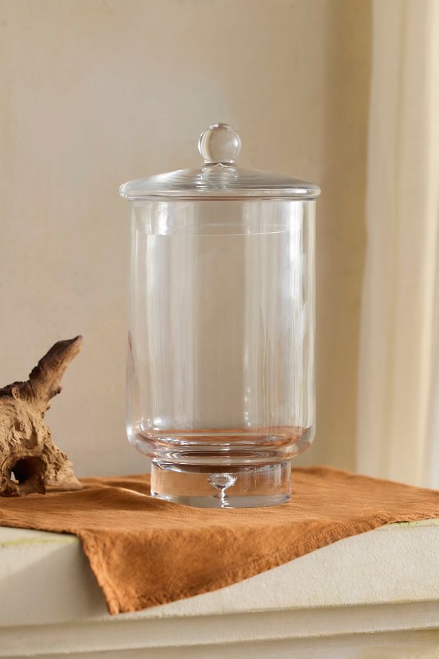 Lidded Cylinder Terrarium #1
