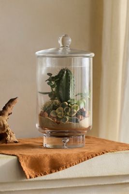 Lidded Cylinder Terrarium