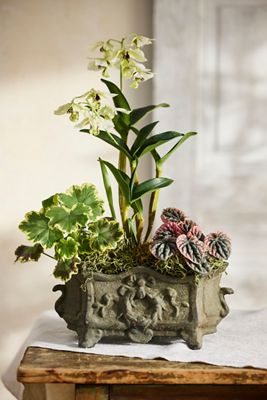 Ornate Cast Iron Trough Planter