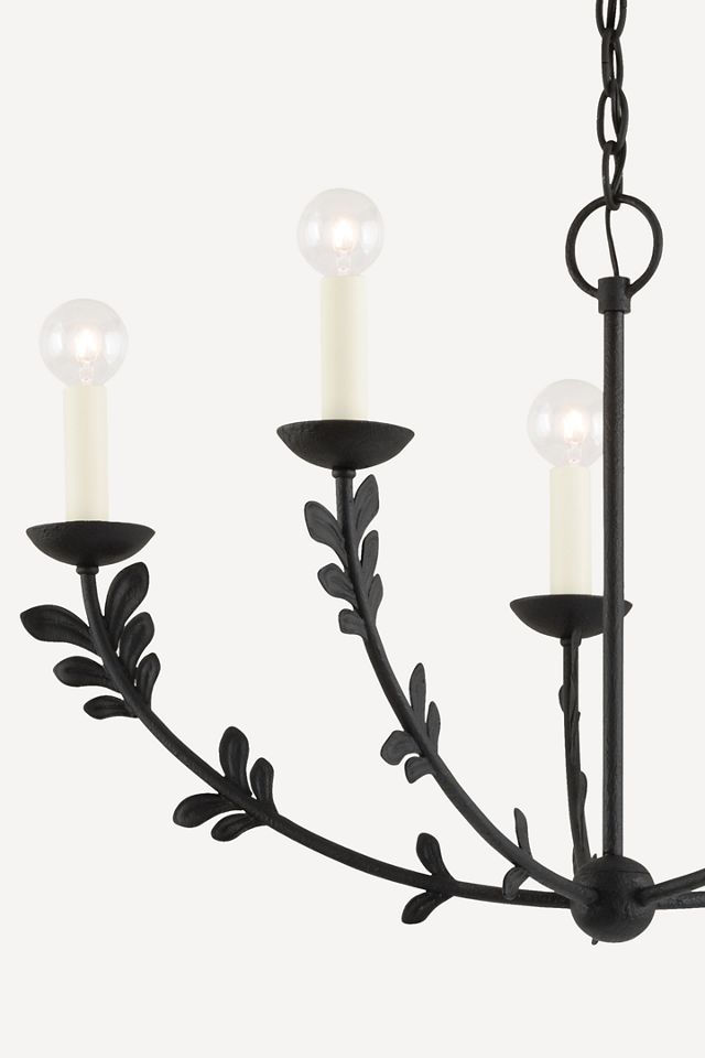 Troy Florian 5-Light Chandelier  #2