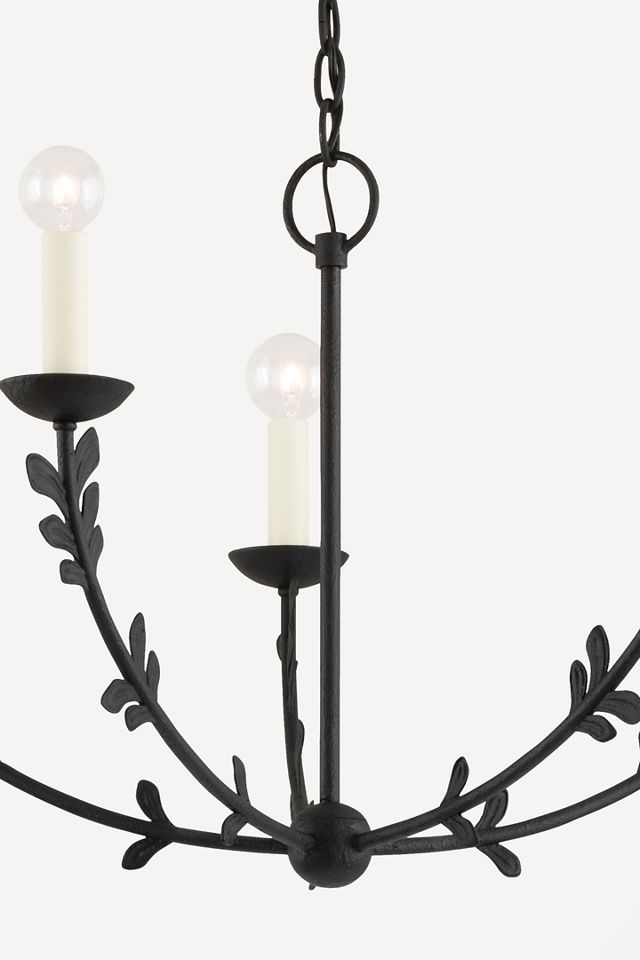 Troy Florian 5-Light Chandelier  #3