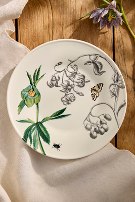 Terrain Colorful Creature Stoneware Plate