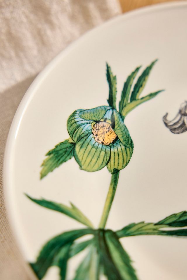 Colorful Creature Stoneware Plate #1