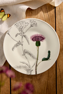 Terrain Colorful Creature Stoneware Plate In Multi