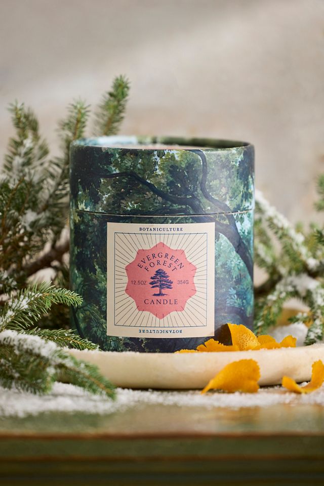 Botaniculture Evergreen Forest Candle #1