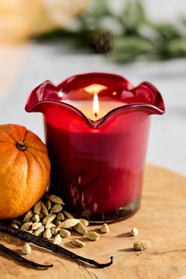 Botaniculture Winter Morning Candle