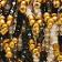 Gold Metallic