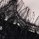 Black Seashell