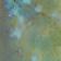Botanical Pattern