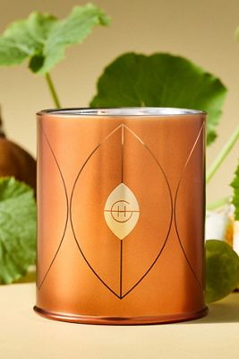 Glasshouse Fragrances Gourmand Harvest Muse Glass Candle