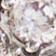 Silver/Clear