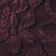 Chocolate Lace