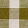 Botanical Gingham Green