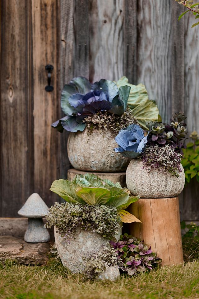 Barnacle Stoneware Mushroom #4