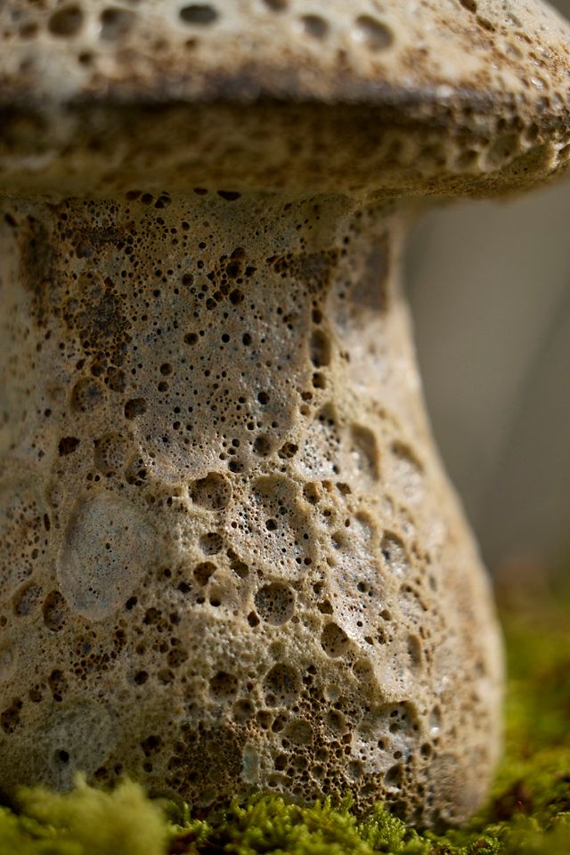 Barnacle Stoneware Mushroom #1