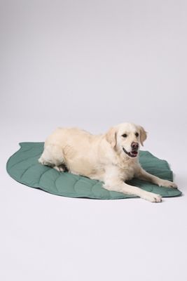 Leaf Shape Pet Blanket