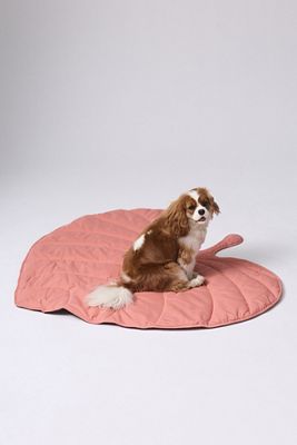 Leaf Shape Pet Blanket