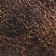 Black/Brown