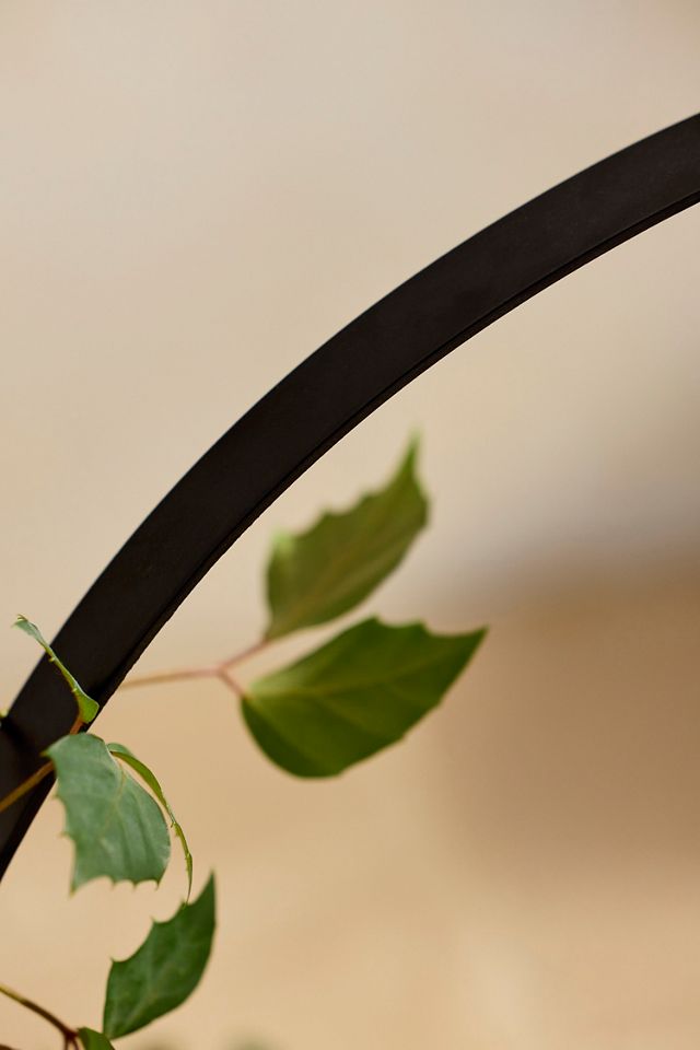 Iron Topiary Ring #1