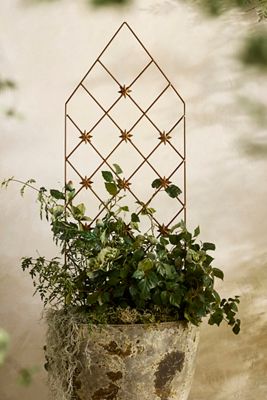 Antique Brass Moravian Star Trellis