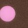 Whimsy Dot