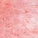 PETAL PINK