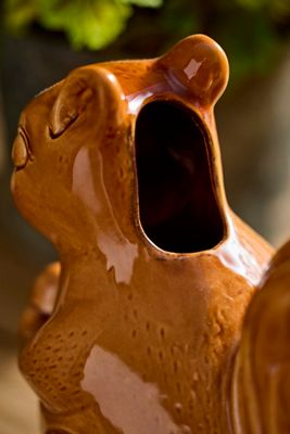 Squirrel Stoneware Watering Can