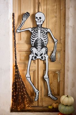 Articulated Skeleton Wall Hanging