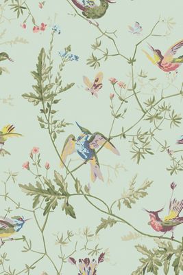 Hummingbirds Nature Wallpaper