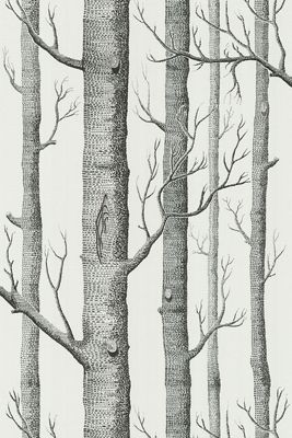 Woods Wallpaper