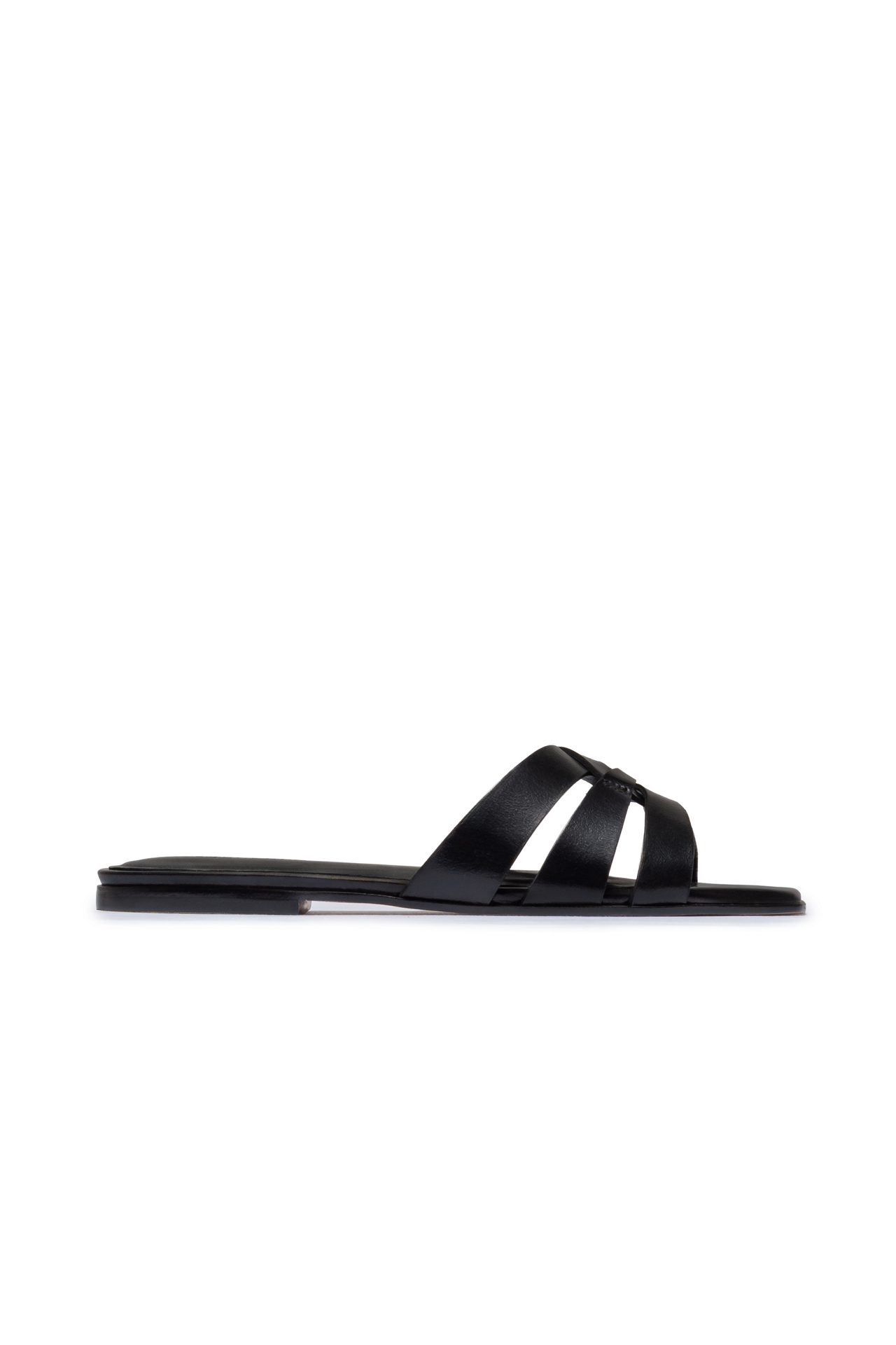 Bernardo Oxford-05 Slides