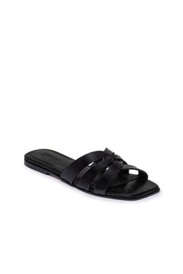 Bernardo Oxford-05 Slides