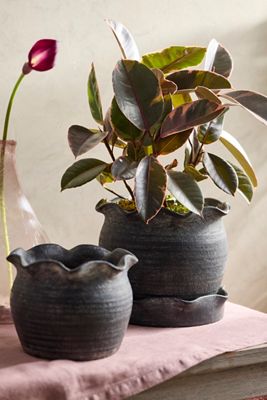 Black Terracotta Pie Crust Rim Planter, Round
